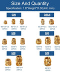 Image of 305 Piece Knurled Threaded Insert Nuts Set For Plastic 3D Printing And Injection Molding Brass Heat Set Inserts M2 To M6 14 Sizes And 6 Bore Options Durable Corrosion Resistant Kit For DIY Folks, showing various sizes labeled from M2 to M6.