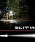 People walking dogs at night using G26 415 Lumen Bulls Eye Spot Beam LED Flashlight With Batteries Included, showing focused beam and halo.