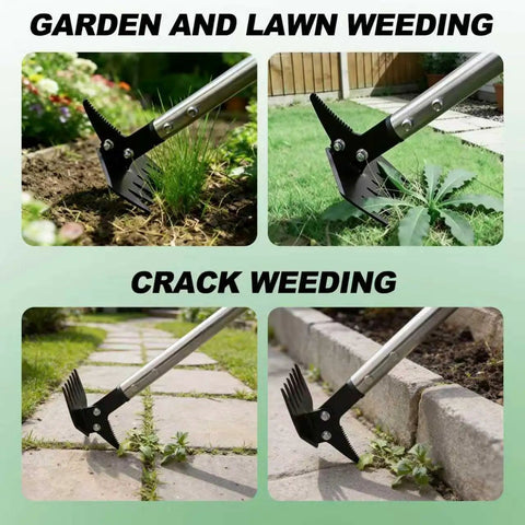 61 Inch Adjustable Weed Puller With Detachable Head, 2-In-1 Weed Rake And Crack Weeder removing weeds from garden and sidewalk