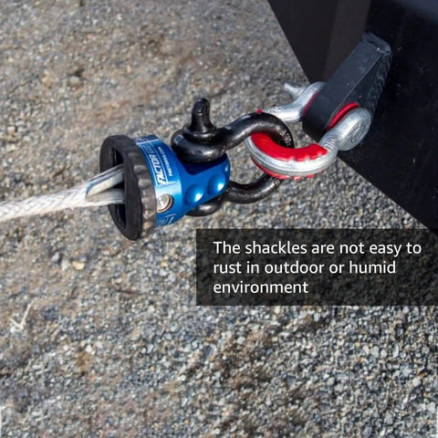 Built Tough 304 Stainless Steel D Ring Shackles 6-Pack Heavy Duty 1/2 Inch Marine Grade Clevis anchor attached to a wire rope.