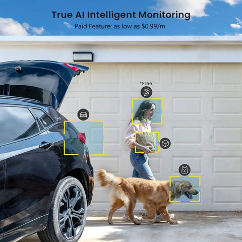 Wireless Outdoor Security Camera With 2K Solar Power, Spotlight And Siren monitoring woman and dog in driveway