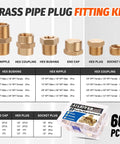 Front view of Ailbiuko 60-piece brass pipe fittings kit with hex nipple, hex coupling, bushing, end cap, hex plug.
