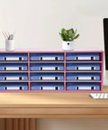 Pink 12 Slot Mail Sorter Organizer For Office And Home Desk PVC File Holder With Top Platform and Blue Folders