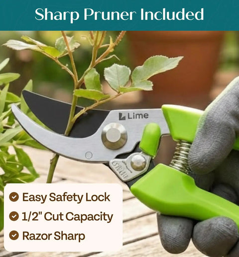 Durable Ergonomic Garden Tools Set With Rust Proof Steel sharp pruner with green finish, ergonomic grip cutting branch
