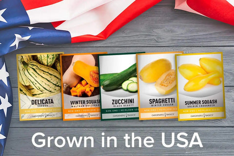 Five Pack Of Homegrown Squash Seeds Delicata Butternut Zucchini Spaghetti And Golden Crookneck For A Non GMO Heirloom Veggie Patch