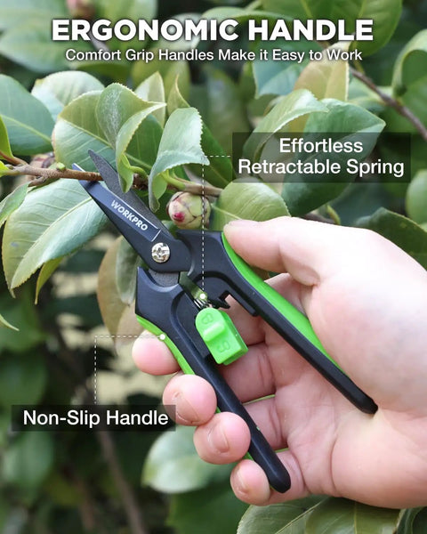 Using 6 Inch Pruning Shears For Razor Sharp Precision Cuts With Easy Grip And High Carbon Steel Blades Nonstick Coating Safety Lock