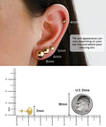 Yellow 7mm 14K Solid Gold Ball Stud Earrings For Women And Men With Post Back Unisex Everyday Wear Classic Simple Jewelry For Stacking Or Wearing Solo Style shown with ear size chart