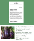 Patio Baby Eggplant seeds pack of 30 for small gardens and containers early yielding all American favorite easy indoor start