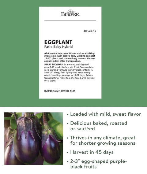 Patio Baby Eggplant seeds pack of 30 for small gardens and containers early yielding all American favorite easy indoor start