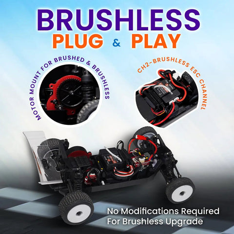 Speck B One Twenty Four Scale 2WD Mini RC Car RTR Buggy With Brushless Ready And Oil Filled Shocks Fast Indoor Racing Vehicle