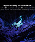 Super Versatile Rechargeable Clip On Flashlight Packing 600 Lumens White Light With Uv And Rgb Modes illuminating scorpion on a branch.