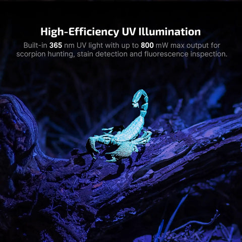 Super Versatile Rechargeable Clip On Flashlight Packing 600 Lumens White Light With Uv And Rgb Modes illuminating scorpion on a branch.