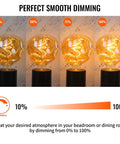 Oversized LED Edison Bulb 5W 400 Lumens 2200K Warm Amber Glass Globe Large Dimmable E26 Bulb showing dimming range