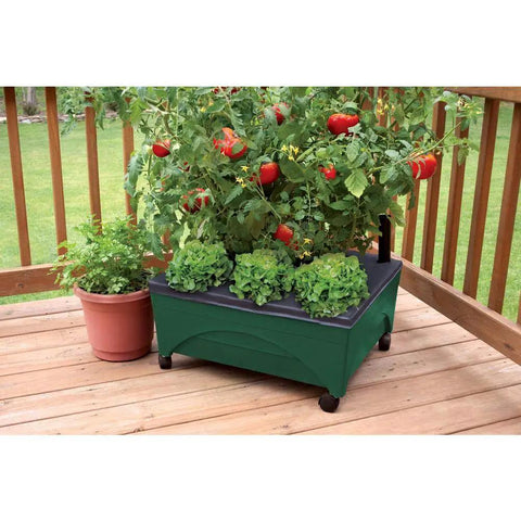 City Picker Raised Bed Planter With Self Watering System And Enhanced Aeration on a patio, Hunter Green with casters, full of plants
