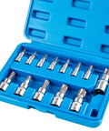 13 Piece Torx Socket Set T8 To T60 With One Quarter Inch Three Eighth Inch And One Half Inch Drives S2 Steel And CRV Construction in blue case