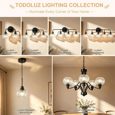 TODOLUZ 2-Light Clear Ribbed Glass Wall Sconce Lighting, Modern Farmhouse Bathroom Vanity Lighting Over Mirror for Kitchen Hallway Living Room, E26 Bulb Base displayed among various lighting fixtures.