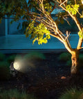 Low Voltage Landscape Spotlight Set 18W Outdoor Waterproof LED Path Lights illuminating tree with warm white light at night