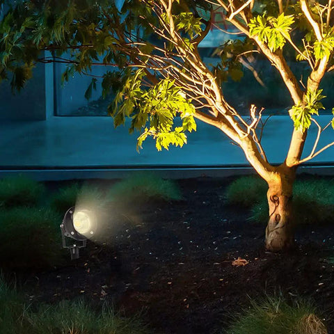 Low Voltage Landscape Spotlight Set 18W Outdoor Waterproof LED Path Lights illuminating tree with warm white light at night