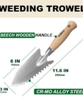 11.6 Inch Weeding Trowel With Serrated Edge Alloy Steel Blade Garden Shovel showing blade and beech wooden handle measurements.