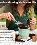 Woman potting plant with 100 Pack 30mm Organic Coco Coir Seed Starter Pellets for Indoor and Outdoor Gardening