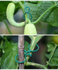 Green Twist Plant Tie Kit With 118 Feet Of Flexible TPR Garden Ties And 20 Plant Clips supporting vegetable plants.