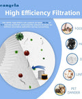 Diagram of HEPA-type filter capturing food, hair, dust, lint, and pet dander particles for high efficiency filtration.