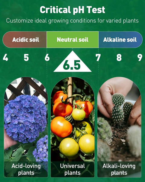 Infographic showing soil pH range with images of hydrangeas, tomatoes, and cacti for the 2 In 1 Soil Test Kit For pH And Nitrogen With 150 Strips, Fast Easy To Use pH Range 3.5 To 9, DIY Friendly Kit For Lawn Care, Garden Beds, Indoor And Outdoor Plants, Detects Soil pH And Nitrogen Levels For Better Growth.