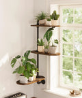 Heavy Duty Wooden Three Tier Window Sill Plant Stand Featuring A Smooth Rotating Rack To Show Off Your Houseplants And Clear Up Space Without Breaking A Sweat Today in a bright room with plants.