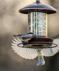 Metal Roof Bird Feeder With Chew Proof Build For Outdoor Hanging Use, Squirrel Resistant Built Tough And Durable Bronze Finish. 