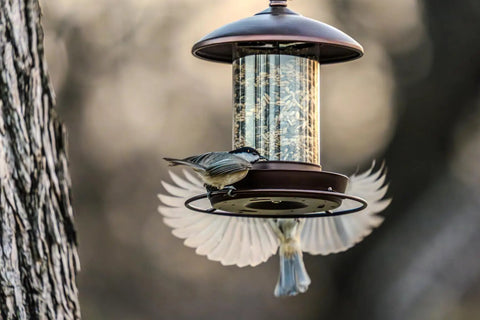 Metal Roof Bird Feeder With Chew Proof Build For Outdoor Hanging Use, Squirrel Resistant Built Tough And Durable Bronze Finish. 