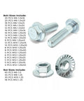 Beefy Metric Hex Flange Bolts And Nuts Kit Class 10.9 JIS Zinc M6 M8 M10 M12 Sizes Coarse And Fine Thread 375 Piece Assortment
