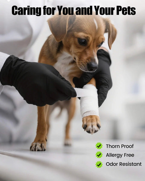 Black nitrile disposable gloves on hands wrapping a white bandage around a dog's paw