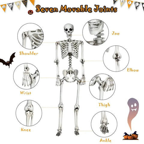 Life Size Halloween Skeleton With Seven Joints 5.4 Ft Realistic Human Bones Made From PP Ceiling Hanger Prank Decor For Porch Or Party Adjustable Poseable Skeleton For Spooky Vibes with detailed joint sections