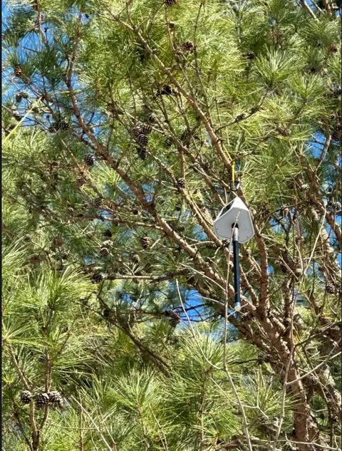 Heavy Duty Solar Hanging Enclosure For LoRa Nodes mounted on a tree, rugged white plastic shell, designed for outdoor connectivity.