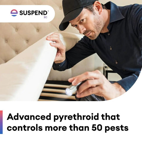 Person inspecting sofa with Indoor Outdoor Perimeter Pest Control Insecticide Concentrate with Deltamethrin for pests.