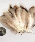 Pack Of 50 Flank Feathers For Fly Tying Natural Barred Mallard Duck Flank Feathers With Wild Goose Hair Wing shown in fan display