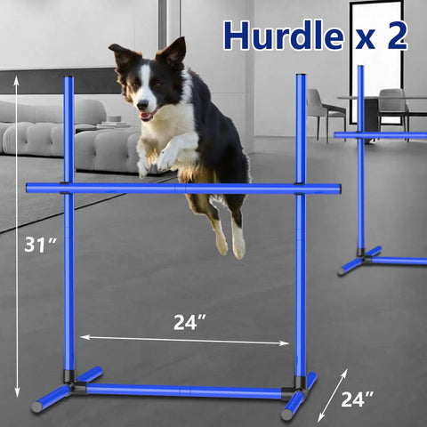 Dog leaping over blue hurdle from 6 Weave Poles Or 2 Hurdles Convertible Dog Agility Set For Indoor And Outdoor Training.