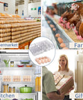 Collage featuring 12 Count Clear Plastic Egg Cartons Bulk Pack with Sturdy Snap Lids for farm, supermarket, and kitchen use.