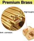 Brass reducer hex bushing, 3/4 in MNPT to 1/4 in FNPT, heavy-duty pipe fittings (2 pcs)