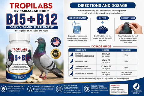 Pigeon Vitamin Supplement With B12 And B15 For Energy Boost And Endurance, 100 Tablets packaging and usage guide