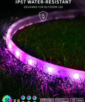 Outdoor LED Strip Lights Waterproof 100 Ft 6 Rolls Of 16Ft 4In IP65 Ultra Long RGB 5050 Color Changing with purple glow on grass