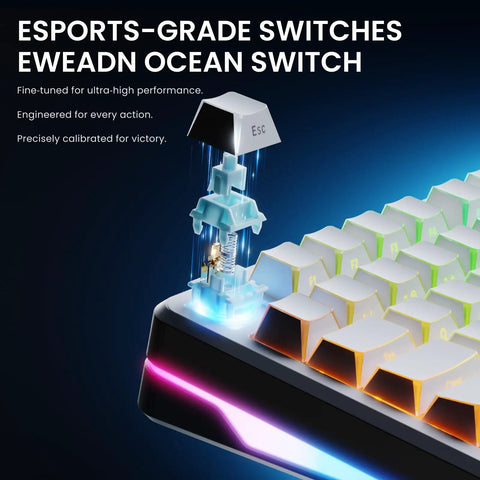 Heavy Hitter 75 Percent Wireless Mechanical Keyboard With A Dope Gasket Mount And Sleek Pure White Shell showing Eweadn Ocean switch details.