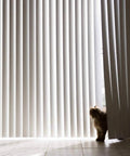 No Sweat Vertical Blind Repair Tabs And Panel Fixers, installed blinds with a cat peeking through vertical slats.
