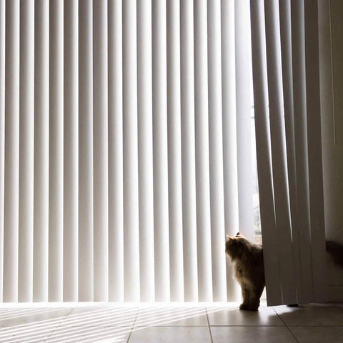 No Sweat Vertical Blind Repair Tabs And Panel Fixers, installed blinds with a cat peeking through vertical slats.