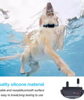 Dog swimming underwater wearing prong collar with rubber sleeve, emphasizing durability and comfort in training sessions.