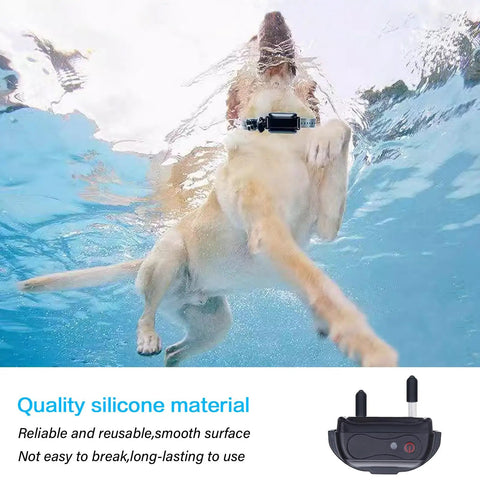 Dog swimming underwater wearing prong collar with rubber sleeve, emphasizing durability and comfort in training sessions.