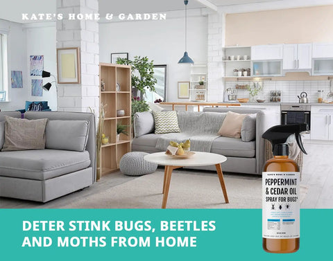 Living room with Peppermint Oil Spray For Bugs And Pests Indoor Outdoor Pest Control With Cedar Oil 16oz bottle displayed