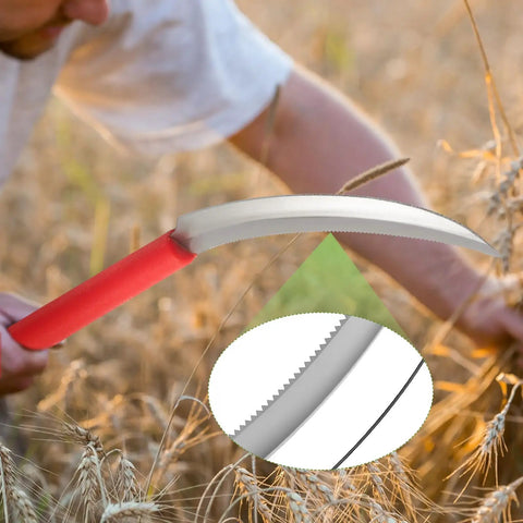 Close-up of 2 Pack Harvest Sickle With Plastic Handles, Sawtooth 6.5 Inch Stainless Steel Blade, used in wheat field