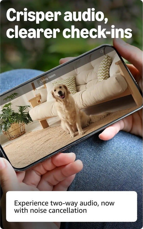 Hella Crisp Two Pack Indoor Security Cameras Running Smooth With 2K Video Resolution showing live dog feed on smartphone.