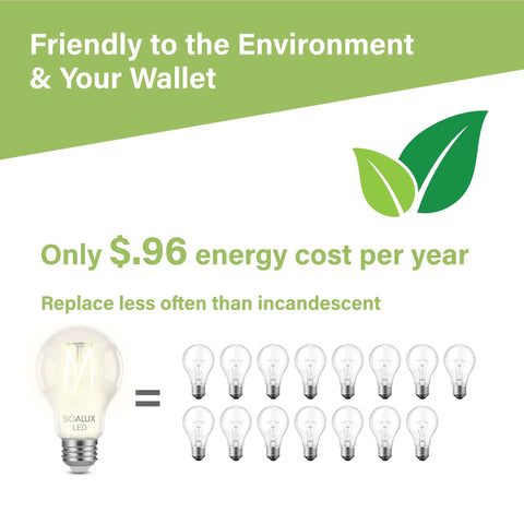 Retro Edison Style E26 LED Bulbs 60W Equivalent Dimmable A19 Clear Glass Soft White 2700K 800 Lumens Energy Star Certified 8W Filament Bulbs eco-friendly comparison image